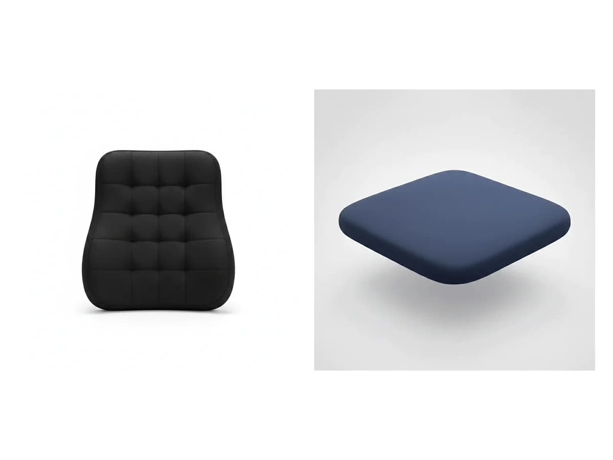 Back Pain Remote Work Kit