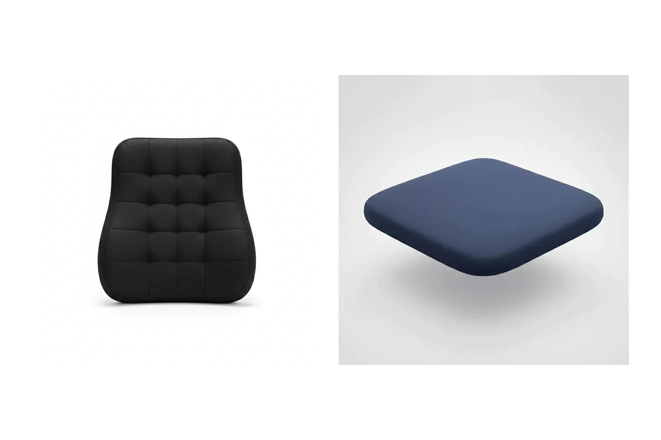 Back Pain Remote Work Kit