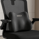 Lumbar Support Pillow