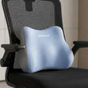 Lumbar Support Pillow